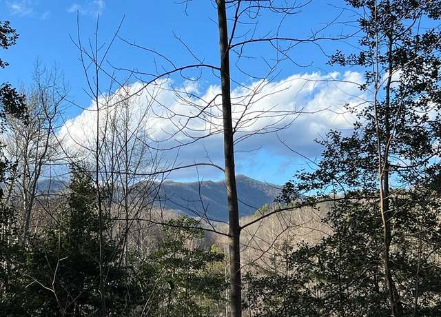 Property at Lot 45 Tusquittee Xing #45, Hayesville, NC 28904