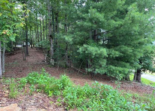 Property at 71 Martin Hills Dr #1, Murphy, NC 28906