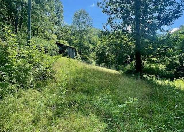 Property at 534 Long Br, Robbinsville, NC 28771