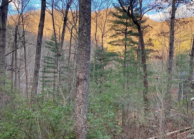 Property at Lot 11 Castlewood #11, Robbinsville, NC 28771