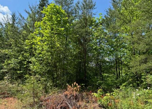 Property at Lot 11 Paradise Mtn #11, Marble, NC 28905