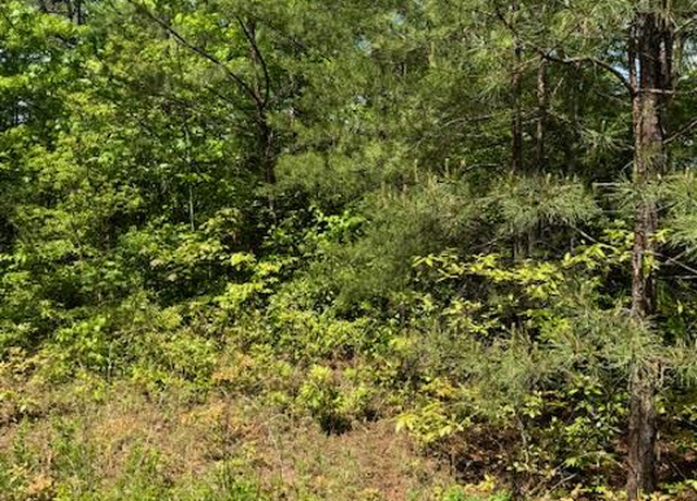 Property at Lot 12 Paradise Mtn #12, Marble, NC 28905
