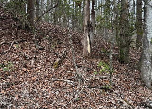 Property at 0 Old Rocky Branch Rd #26, Topton, NC 28781