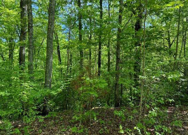 Property at Lot 17 Paradise Mtn #17, Marble, NC 28905