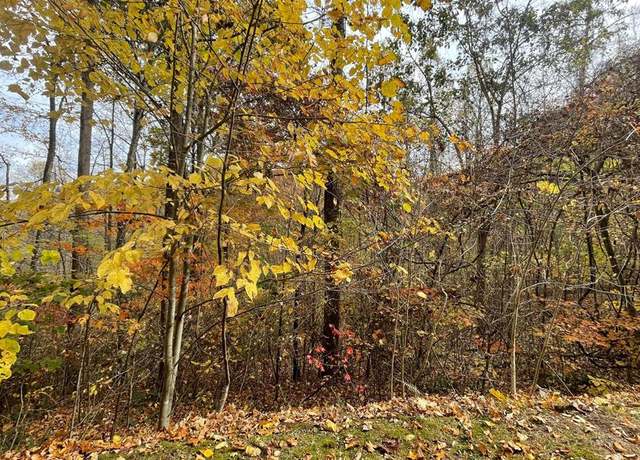 Property at Lot 5A Ann's Ln Unit 5A, Hayesville, NC 28904