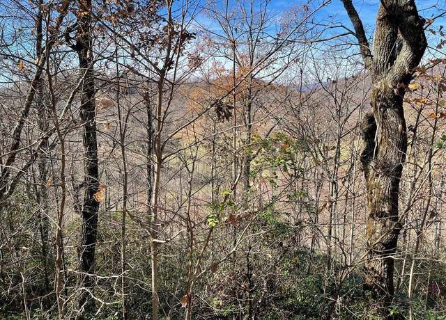 Property at Lot 31J Ash Branch Rd Unit 31J, Hayesville, NC 28904