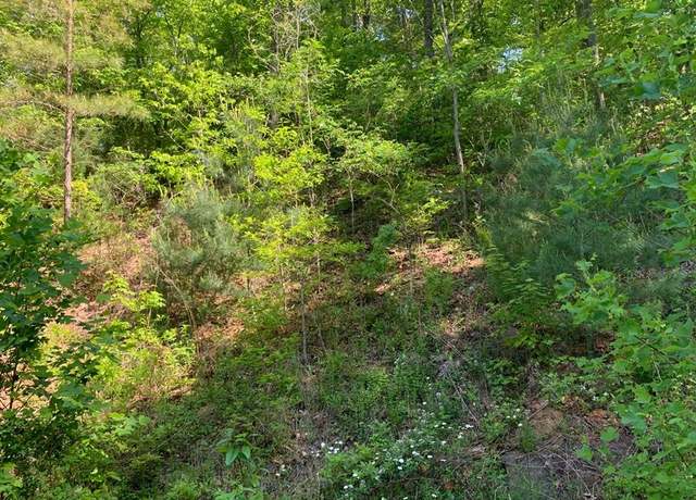 Property at Lot 4A Trillium Hts Unit 4A, Brasstown, NC 28902