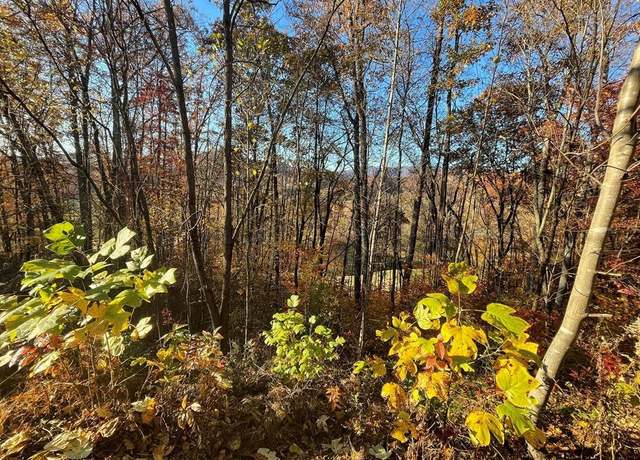 Property at 39M 40M Ridges Overlook Unit 39 40, Hayesville, NC 28904