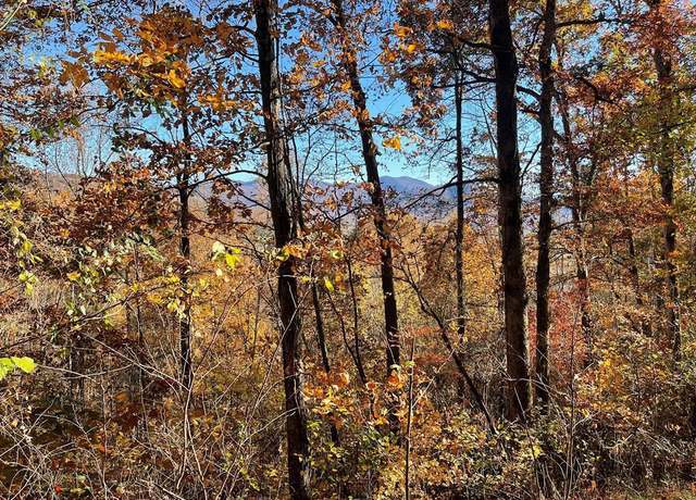 Property at 36 54C Ash Branch Cir, Hayesville, NC 28904