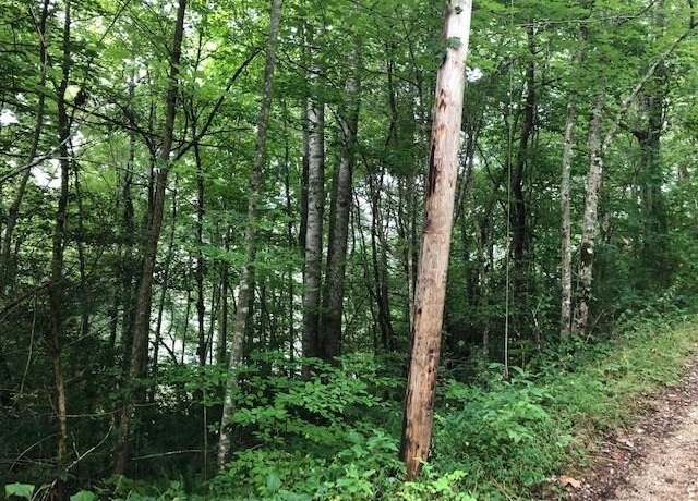 Property at 00 Springwood Lk #28, Robbinsville, NC 28771