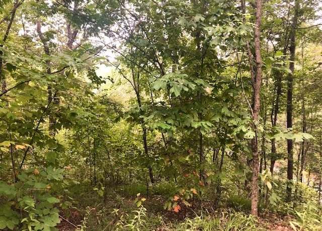 Property at 00 Carolina Vistas Unit D9, Robbinsville, NC 28771