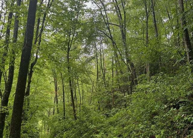 Property at 0 Chestnut Cove Rd (summit Ridge) #0, Sylva, NC 28779