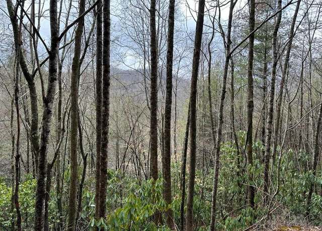Property at Lot 16 Stillwind Dr #16, Topton, NC 28781