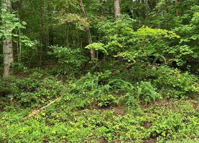 Property at 00 Laurel Dr #50, Turtletown, TN 37391