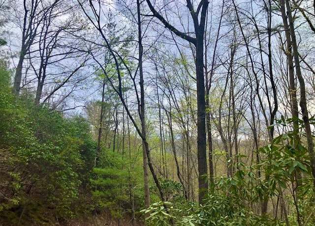 Property at 00 Carpenter Holw #2, Robbinsville, NC 28771