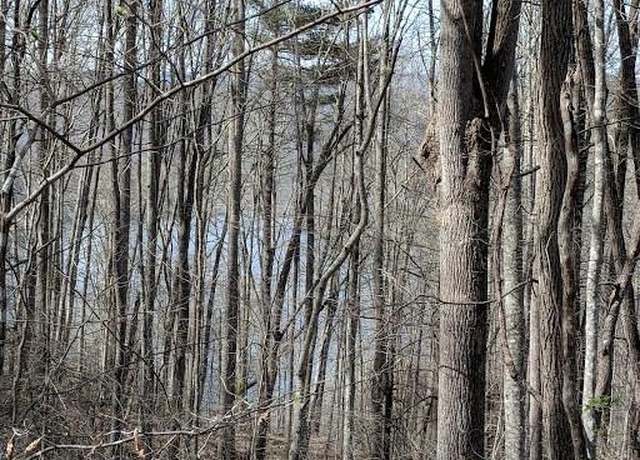 Property at Lot 5 Poplar Cove Ln #5, Nantahala, NC 28781