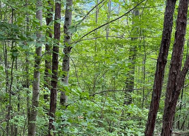 Property at Lt 527-4 Farmers Top Dr Unit 527-4, Murphy, NC 28906