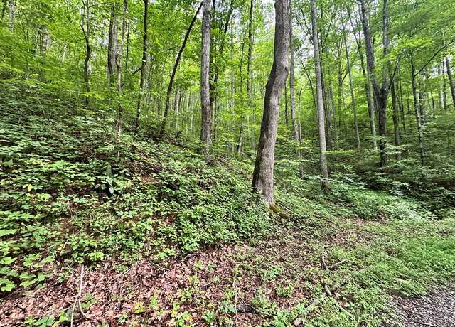 Property at 00 Burnt Leaf #19, Hayesville, NC 28904