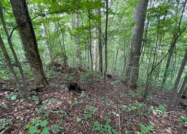 Property at Lot 19 Bear Trl #19, Hiawassee, GA 30546