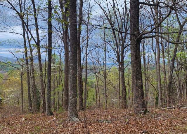Property at Lot 65 Timberline Dr #65, Young Harris, GA 30582