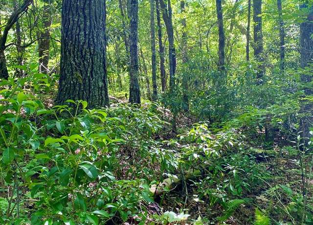 Property at 00 Deer Run - Lot 25 #25, Robbinsville, NC 28771