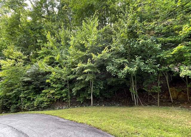 Property at Lot 34 The Overlook at Young Harris #34, Young Harris, GA 30582