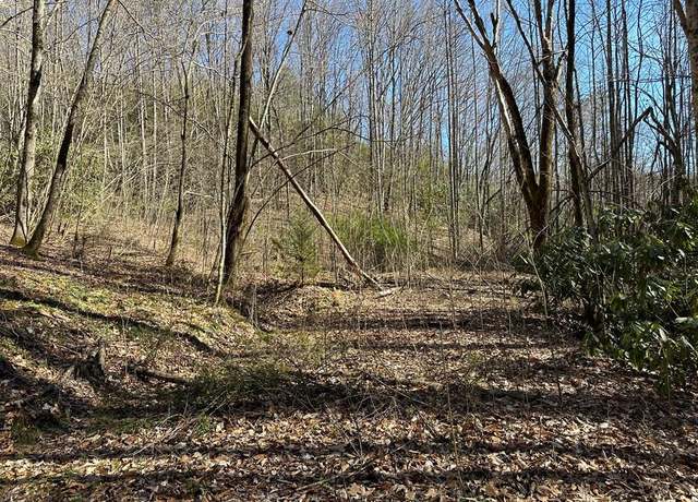 Property at LT 7 Valley View Hts #7, Andrews, NC 28901