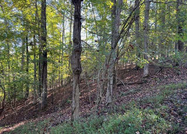 Property at Lot 23 Tahlequah Rdg #23, Hayesville, NC 28904