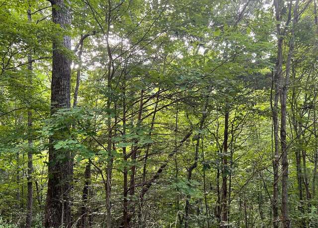 Property at Lot 13 The Preserve #13, Brasstown, NC 28902