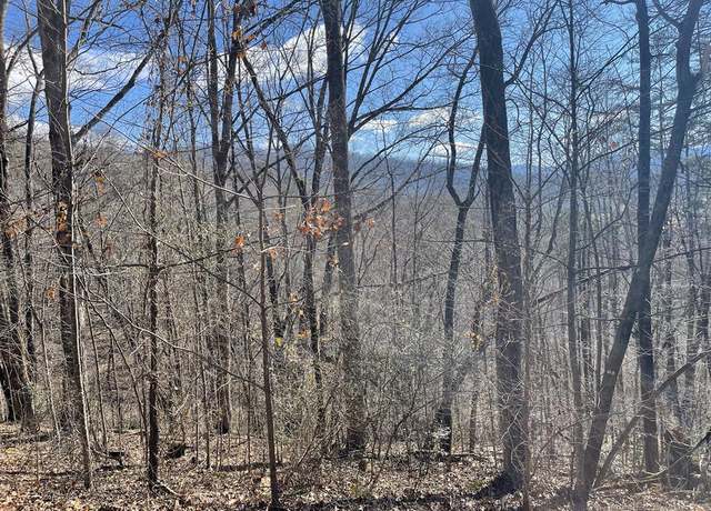 Property at Lot 37C Ash Branch Cir Unit 37C, Hayesville, NC 28904