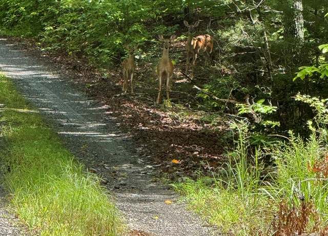 Property at 00 Right Field Dr, Murphy, NC 28906