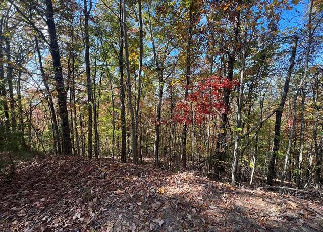Property at 0 Canterbury Rd #36, Murphy, NC 28906