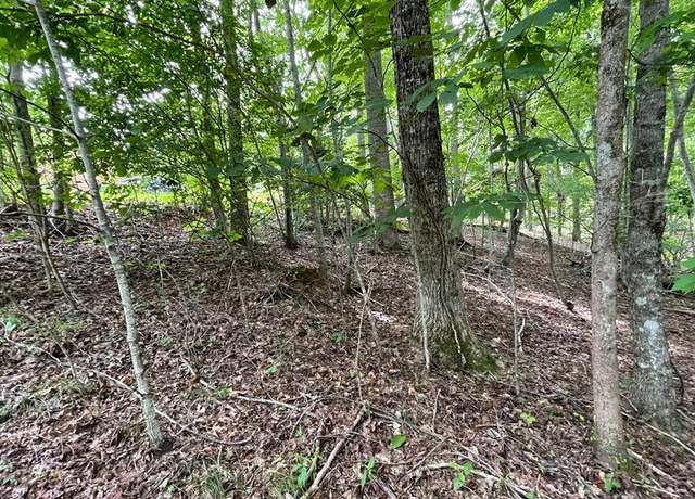 Property at Lot 3 Morgan Crk #3, Young Harris, GA 30582