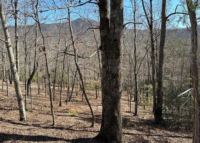 Property at Lot 11 Asheland Cv #11, Young Harris, GA 30582