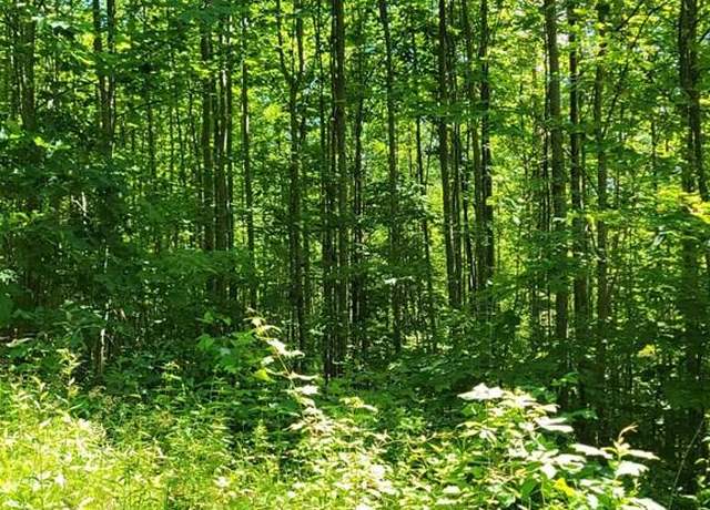 Property at Lot 10 Hickory Rdg #10, Hayesville, NC 28904