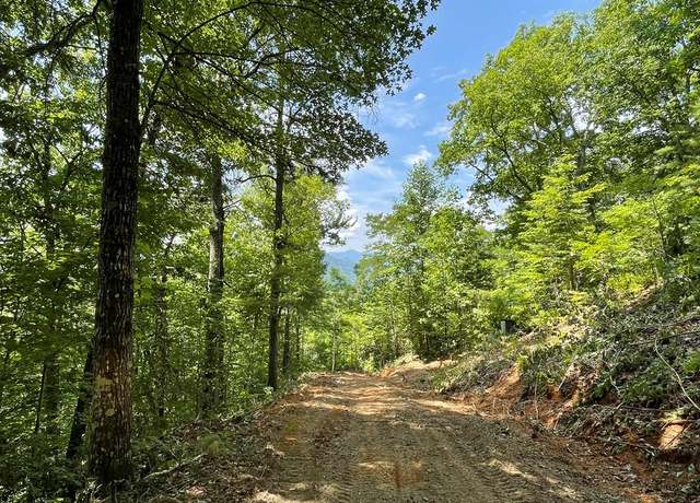 Property at 0 Upper Bell Creek Rd Unit TR D, Hayesville, NC 28904