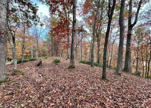 Property at Lot 16 Cricket Ln #16, Brasstown, NC 28902
