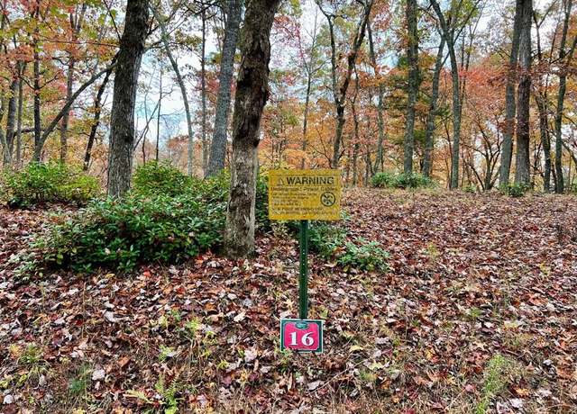 Property at Lot 16 Cricket Ln #16, Brasstown, NC 28902