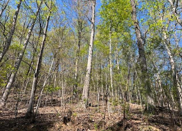 Property at Lot 2B Grandview Dr Unit 2B, Hayesville, NC 28904