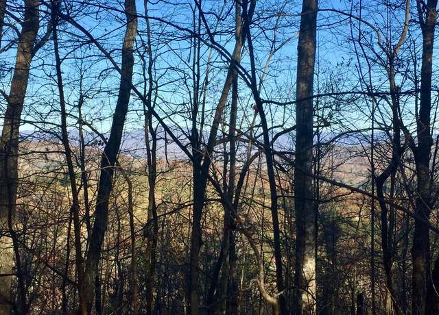 Property at 44+/-ac. Chilson Rd, Warne, NC 28909
