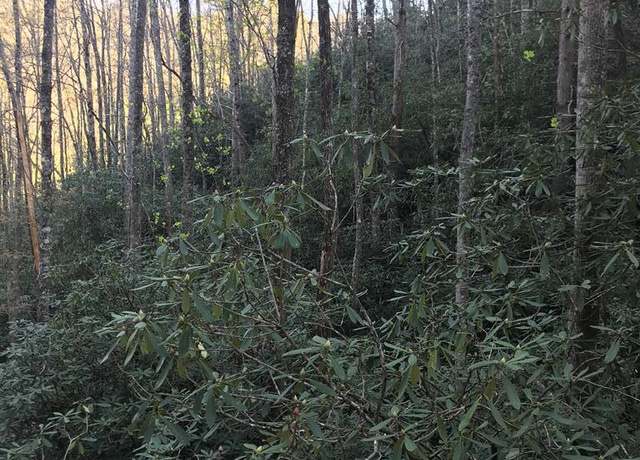 Property at 604 Upper Sawyers Crk, Robbinsville, NC 28771