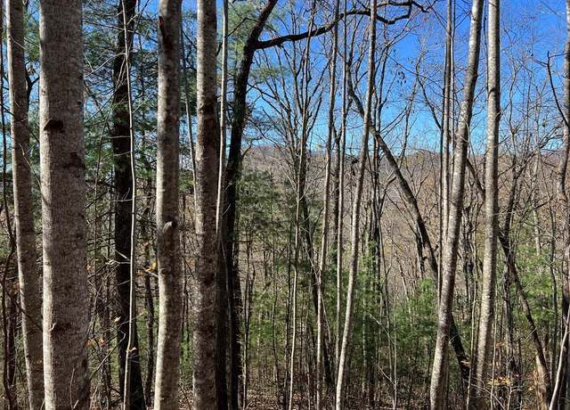 Property at 406 Barefoot Rise #38, Hiawassee, GA 30546