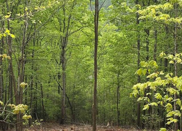 Property at Lot 4-25 Sahkanga Dr Unit 4-25, Murphy, NC 28906