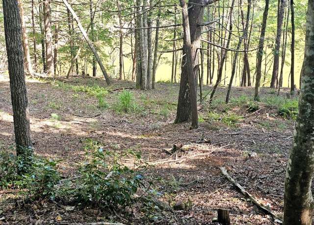 Property at Lot 6 Cranes Nest Cv #6, Murphy, NC 28906