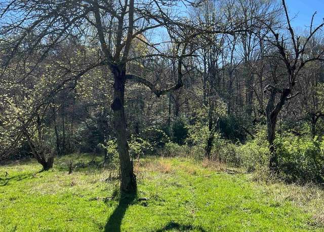 Property at 4.90 Wayah Road (hwy 1310), Nantahala, NC 28781