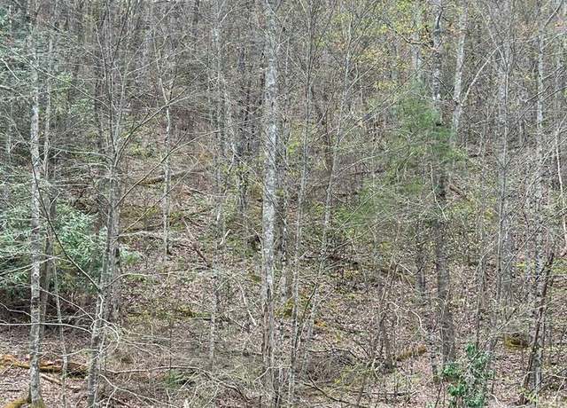 Property at lot 13 Hidden Lake Rd #13, Topton, NC 28781