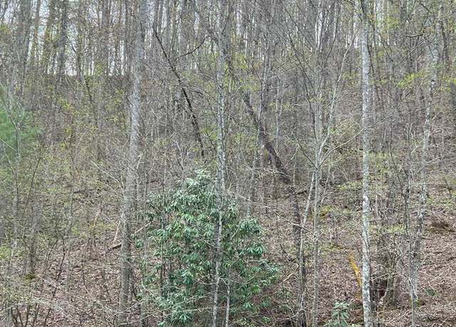 Property at lot 13 Hidden Lake Rd #13, Topton, NC 28781