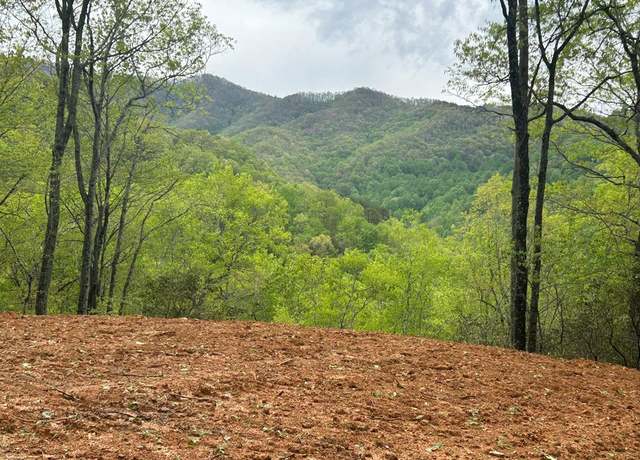 Property at Lot 8 Blackberry Bnd #8, Bryson City, NC 28713