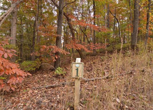 Property at Lot 1 Serenity Rdg #1, Blairsville, GA 30512