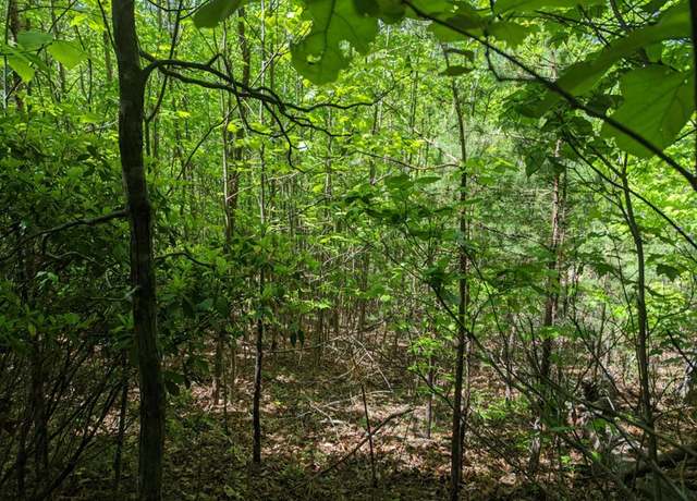 Property at TBD Heritage Trl #79, Brasstown, NC 28902